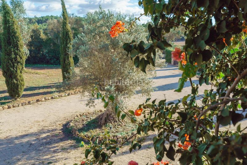 Foto 5294c5bf-9844-4a22-9762-aca0c847b5d8. Masia amb calefacció aparcament piscina a Algaida