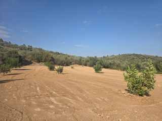 Finca rústica a Mas de Barberans