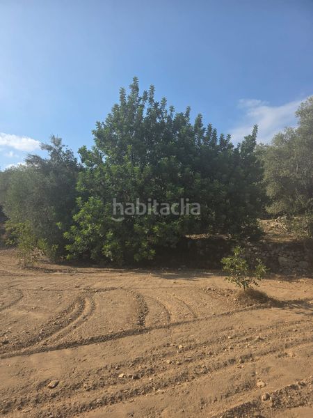 Foto 03d797e4-c7f4-40f4-b683-89b4ece65b0d. Finca rústica a Mas de Barberans