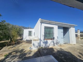 Mas  Polígono 6 parcela 206 codonyol. alcanar [tarrago. Finca rustica cerca de la rapita !
