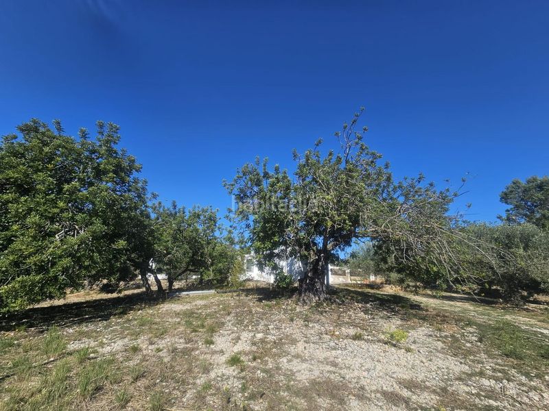 Foto aba99eef-9620-47df-b0d1-538daf70a07b. Masia a Alcanar