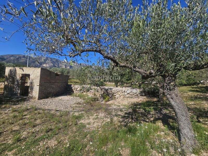 Foto c1f878fb-93a0-4000-980f-2857fd25c8ef. Masia a Alcanar