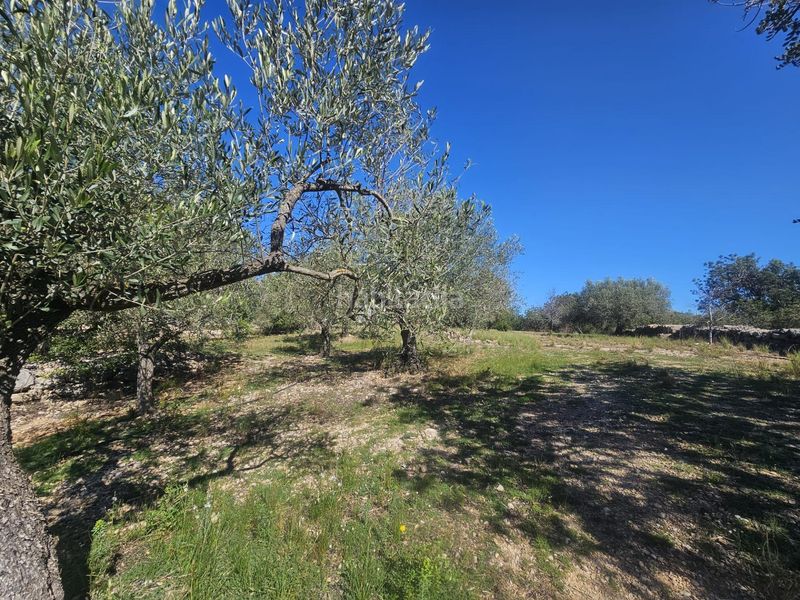 Foto d2502e00-d091-4b72-a18c-056ca48bc507. Masia a Alcanar