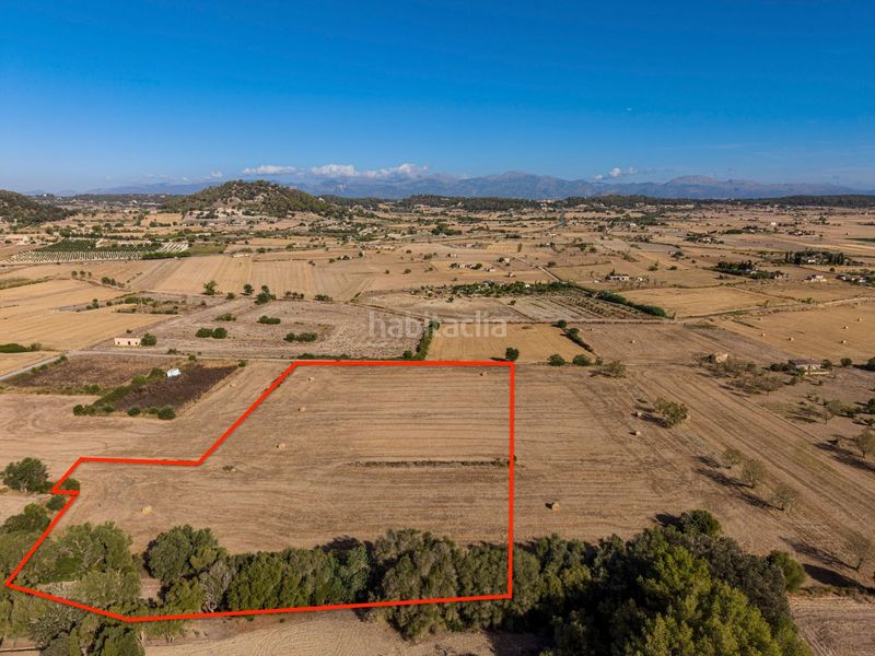 Foto 020c892b-b0ba-4d23-92f4-1546e5d521c6. Finca rústica a Sant Joan