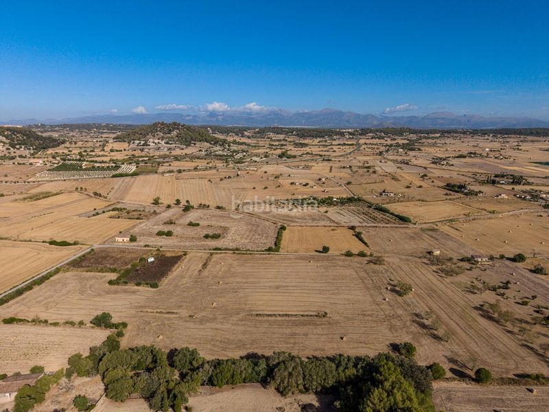 Foto 3fe59d3d-9aa8-469c-b873-1468249b4e51. Finca rústica a Sant Joan