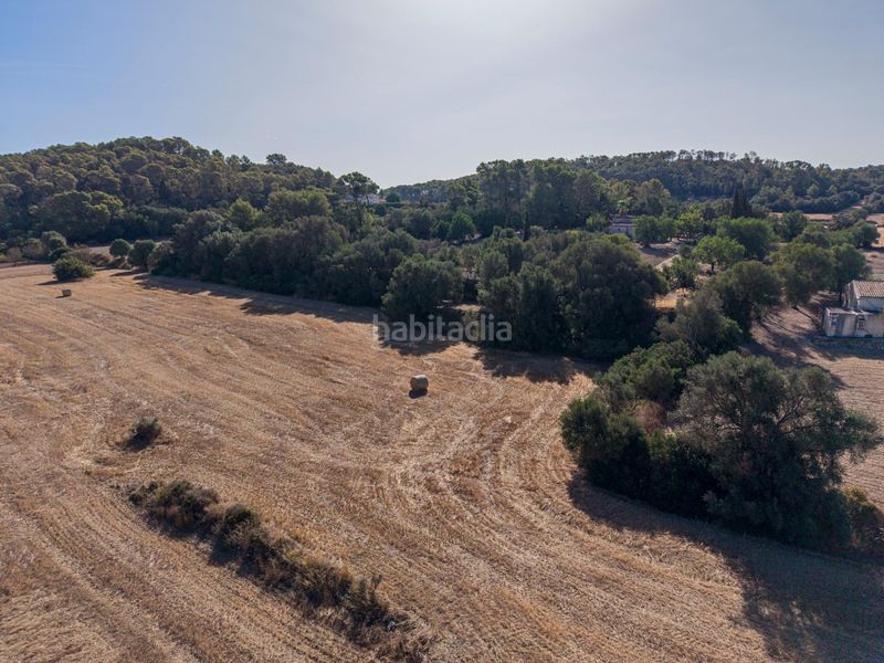Foto 447917aa-132d-4d3a-afd8-a2dde6f2069a. Finca rústica a Sant Joan