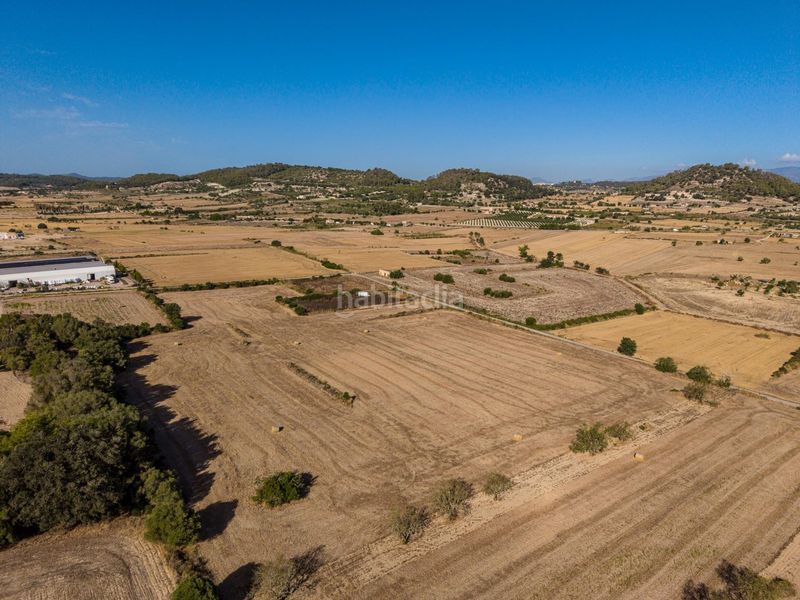 Foto 49bbcdbe-0326-485c-b721-2b8dba9a77d7. Finca rústica a Sant Joan
