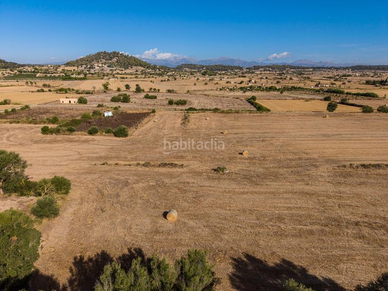 Foto 4b532403-e035-4d84-b6c8-5d5979e55d38. Finca rústica a Sant Joan