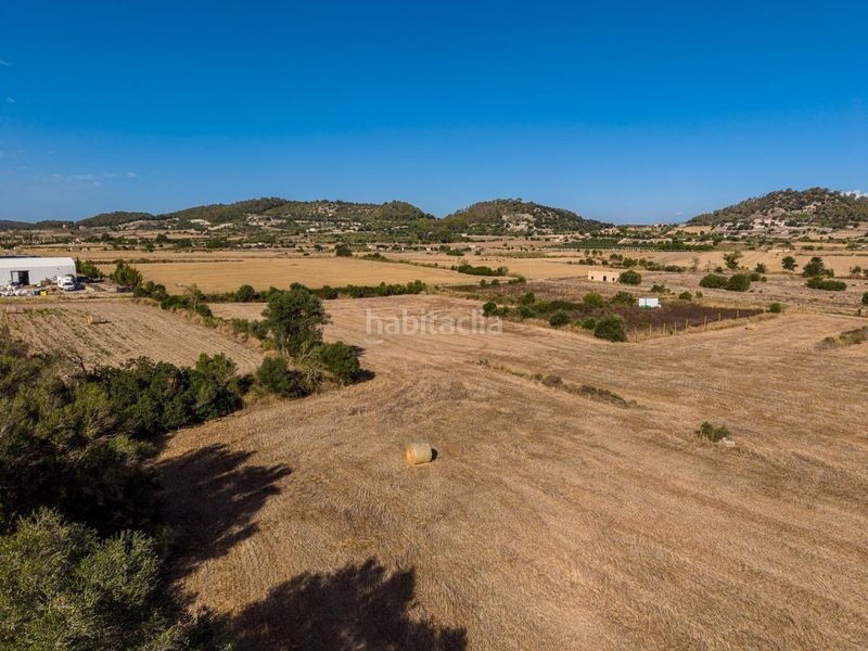 Foto 4f62513f-d83b-4c23-81cf-ec4a5dfa6b2c. Finca rústica a Sant Joan