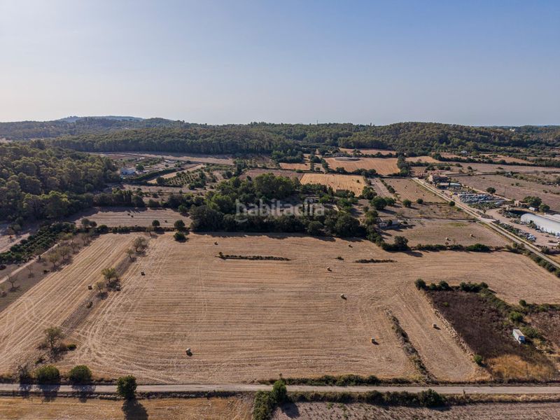 Foto 5cda8c4a-730d-4fe2-b8d4-2ee1cb274339. Finca rústica a Sant Joan