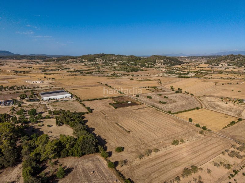 Foto 5e0f00dc-00b7-4079-b2b3-6c1fa4623295. Finca rústica a Sant Joan