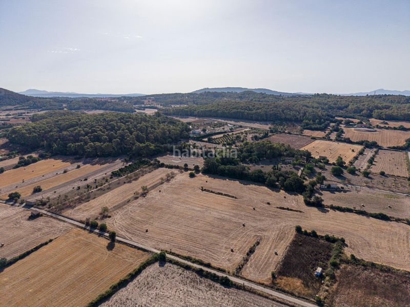 Foto 63634077-cef5-4816-98f7-e41d7d625e49. Finca rústica a Sant Joan