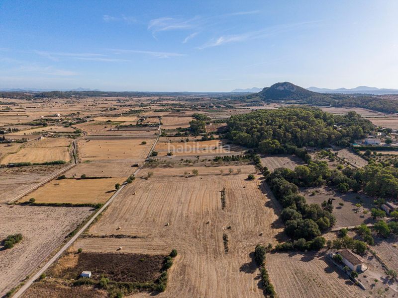 Foto 71fa10e1-d568-4709-9276-6da623f9e632. Finca rústica a Sant Joan