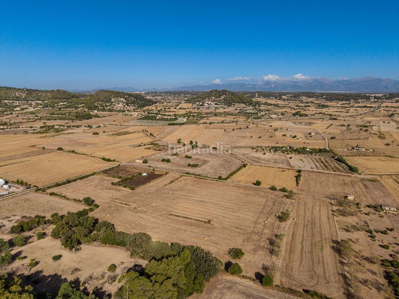 Foto 83642e26-1c5c-4a47-9461-f546ffd1f3ec. Finca rústica a Sant Joan