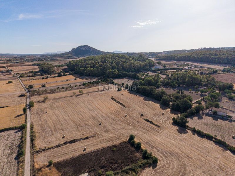 Foto a20aac7e-4bf6-41d4-8522-aafb96b7c033. Finca rústica a Sant Joan