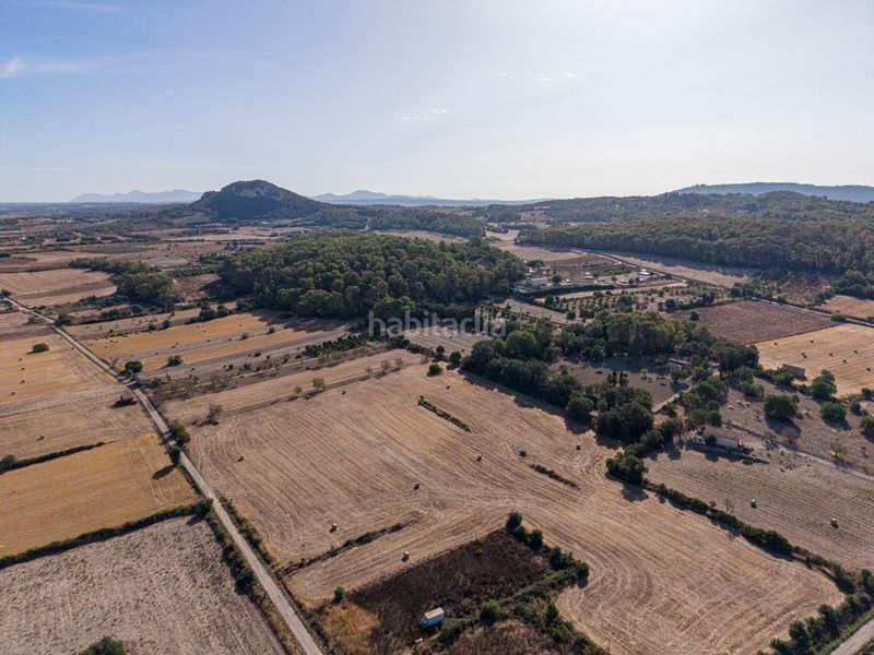 Foto ae1a7741-68f4-45a9-a1be-ea0f070a4229. Finca rústica a Sant Joan