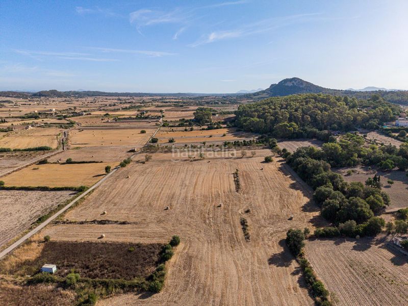 Foto b2b0c3ab-74f2-446f-b29e-52f5b2c19c12. Finca rústica a Sant Joan