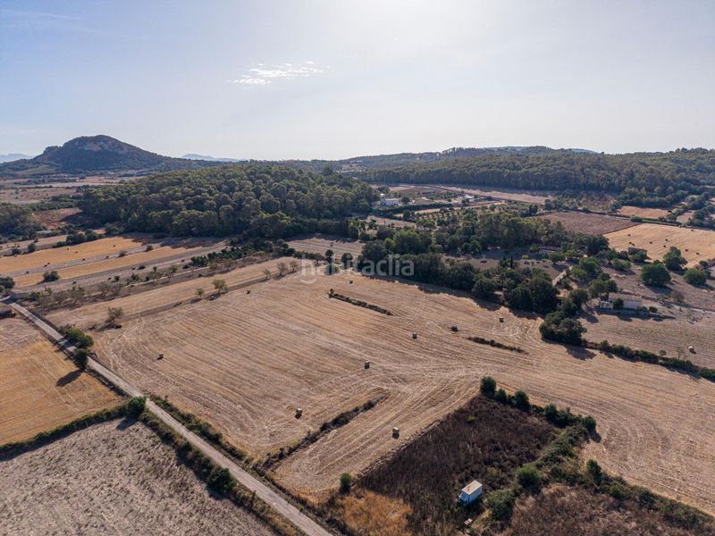 Foto bb912fb6-7c25-425e-8561-01d503fbf0fa. Finca rústica a Sant Joan
