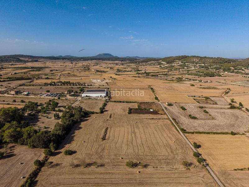 Foto d1da9aad-ea7d-42a7-a837-e57170200d19. Finca rústica a Sant Joan