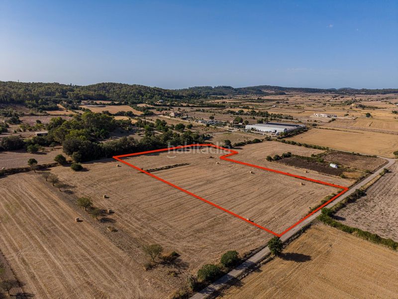 Foto eef37495-286f-44df-8e57-5fe1401b739f. Finca rústica a Sant Joan