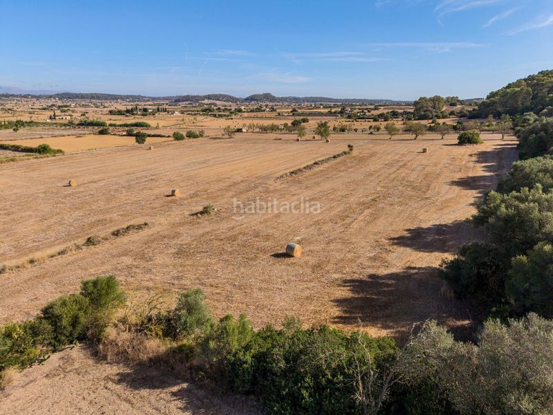 Foto f1c491fb-a4bf-4af7-8883-2da2d93897a4. Finca rústica a Sant Joan