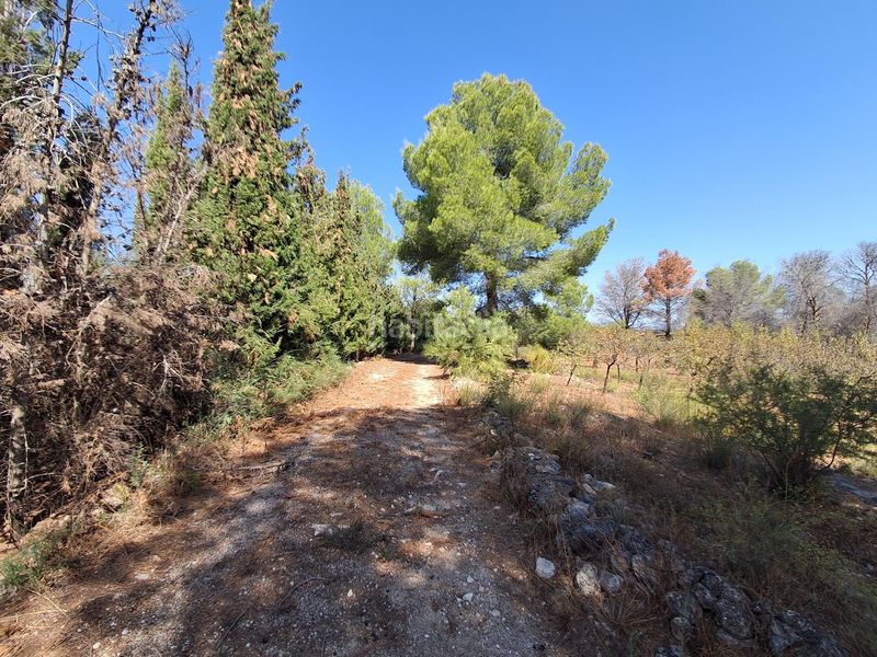 Foto 05ecb3ab-a1b5-4aa5-a418-d81c4c7aef55. Casa amb aparcament a Xerta