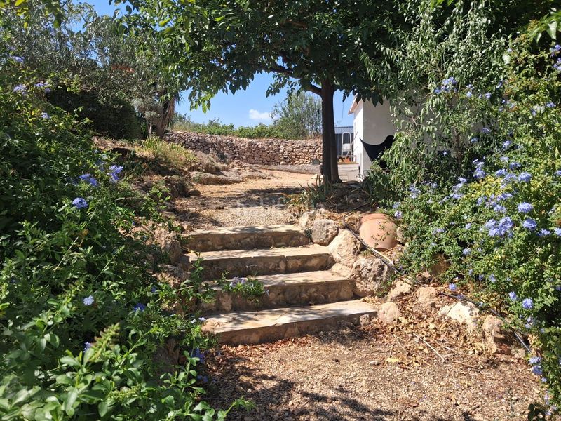 Foto 08c91396-7c44-4669-ab2f-f08d7e8b2c87. Casa amb aparcament a Xerta
