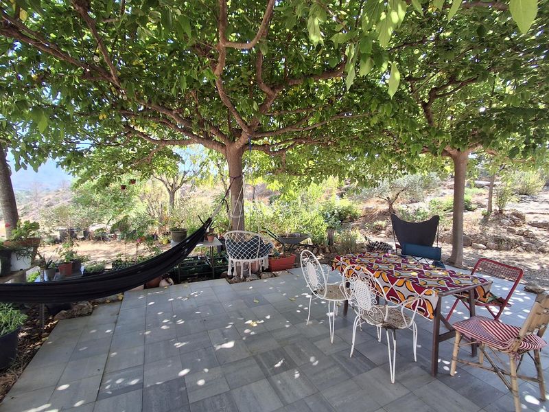Foto 0d1b9e9a-1e79-4329-9fe4-eecabf4df904. Casa amb aparcament a Xerta