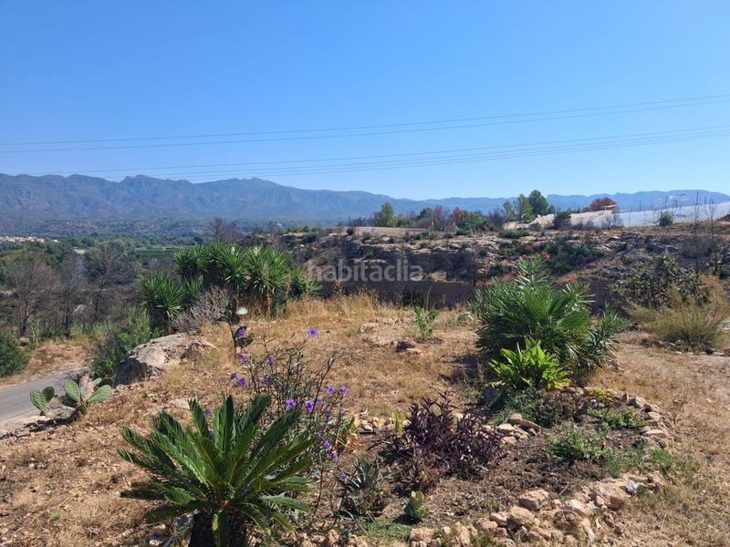 Foto 200f1f41-aa1e-4603-bf18-19b80d57787d. Casa amb aparcament a Xerta