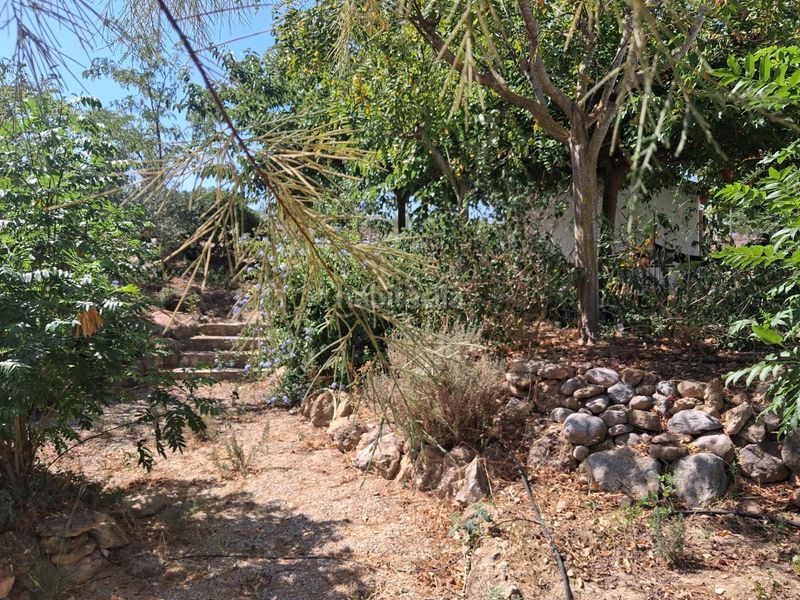 Foto 2ffe98b2-85ea-4c1c-8384-b5ce0bee8911. Casa amb aparcament a Xerta
