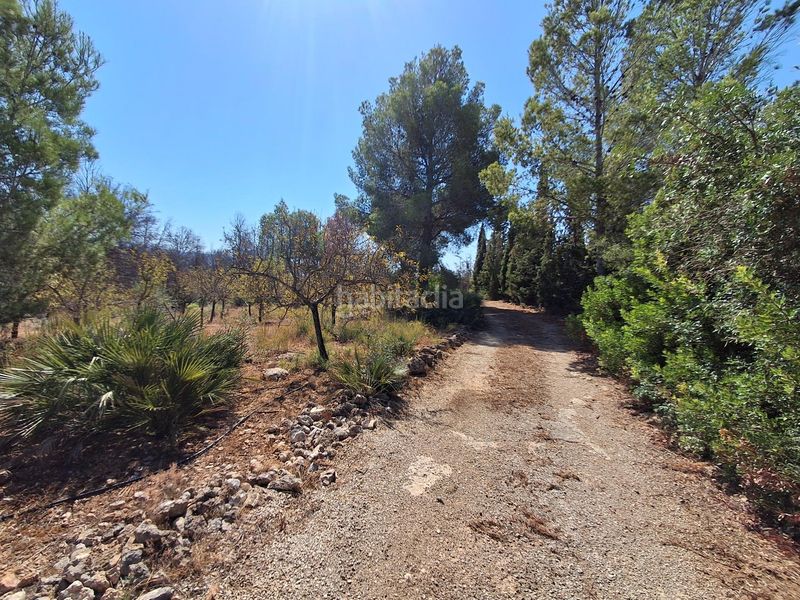Foto 433265d9-5e2c-44c6-a8d5-5ba75bc31de5. Casa amb aparcament a Xerta