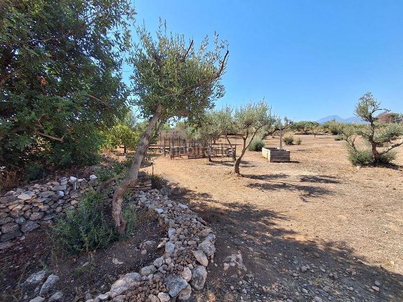 Foto 691399fc-e598-4633-b596-2d3a4ff1af54. Casa amb aparcament a Xerta