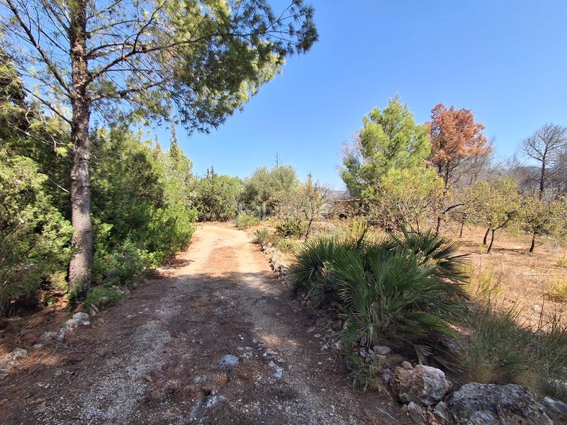 Foto 9e142dd9-92b2-471b-9504-463c1ae762b7. Casa amb aparcament a Xerta