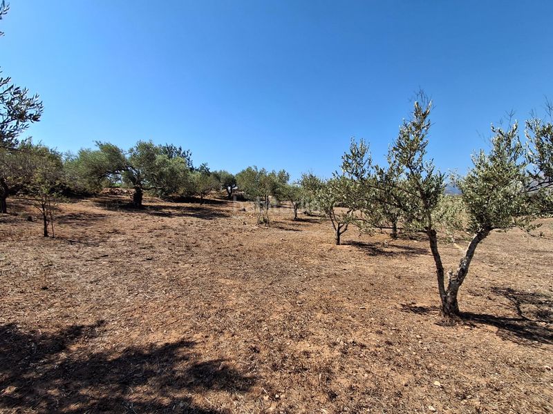 Foto ace35197-c6d1-4df6-b650-8aa053e41c21. Casa amb aparcament a Xerta