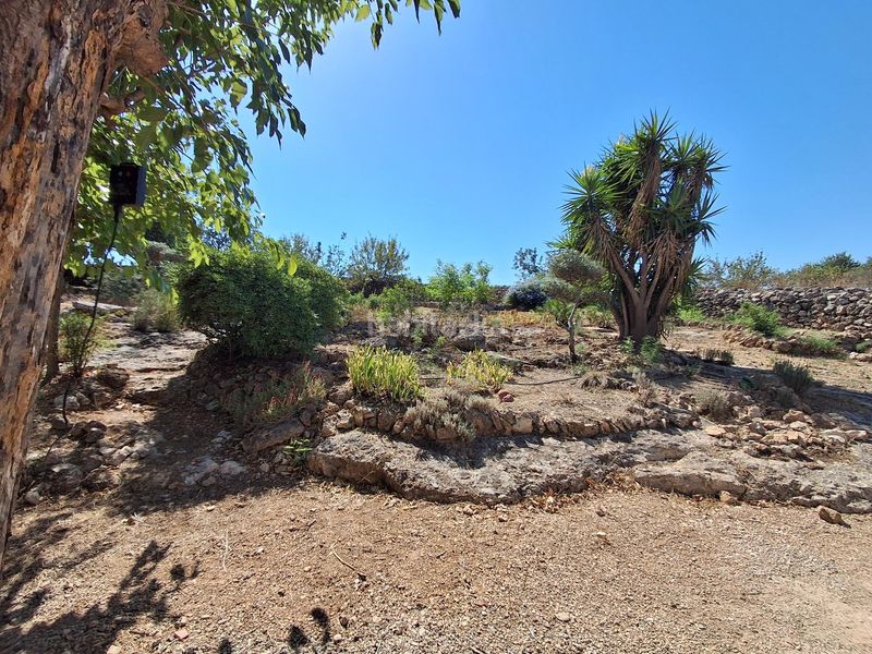 Foto b6825a41-03a8-43b8-97d7-239d66a2cbcc. Casa amb aparcament a Xerta