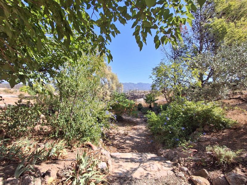 Foto d807b941-fa9a-4a62-be17-a52078409862. Casa amb aparcament a Xerta