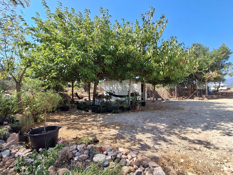 Foto eea14207-9b7c-4a12-913b-4ce8e72f5a15. Casa amb aparcament a Xerta