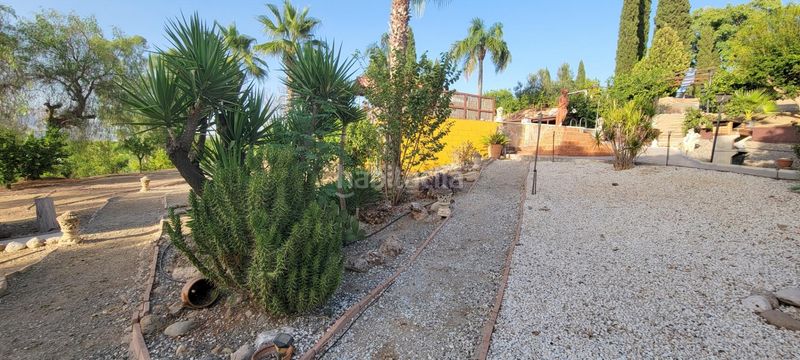 Foto ca0ceaf1-8922-4cda-8dcd-84b31bc1dd55. Bauernhof mit heizung parking pool in Pizarra