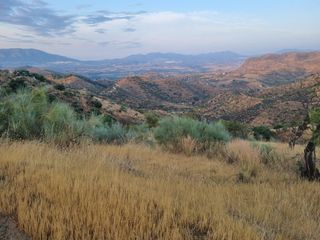 Finca rústica en Pizarra 0. Parcela con casa