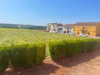 House in Benifaraig. Oportunidad de oro para inversores en valencia! a solo 10 minuto