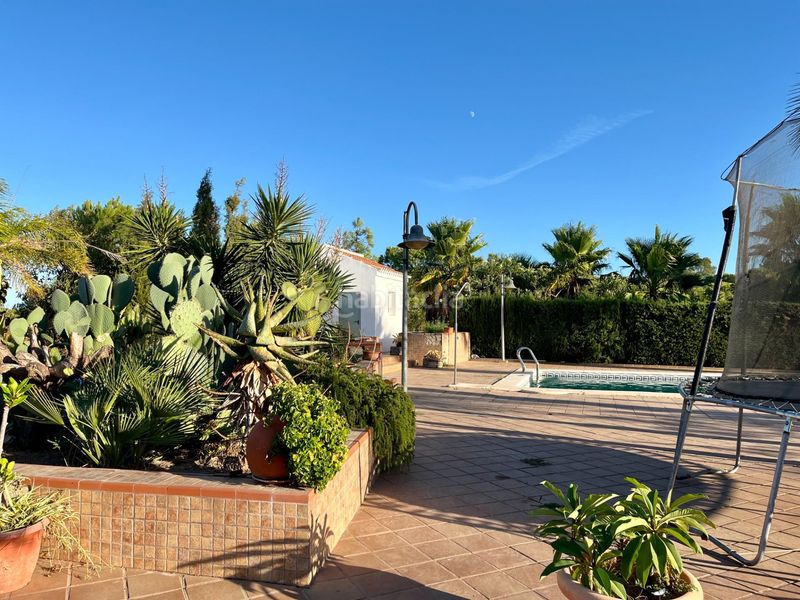 Foto 3e19c647-4ea7-44c1-a08c-4ac9028a2896. Masia amb aparcament piscina a Ayamonte ciudad Ayamonte