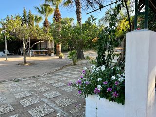 Masía en Camino Camino de Ayamonte