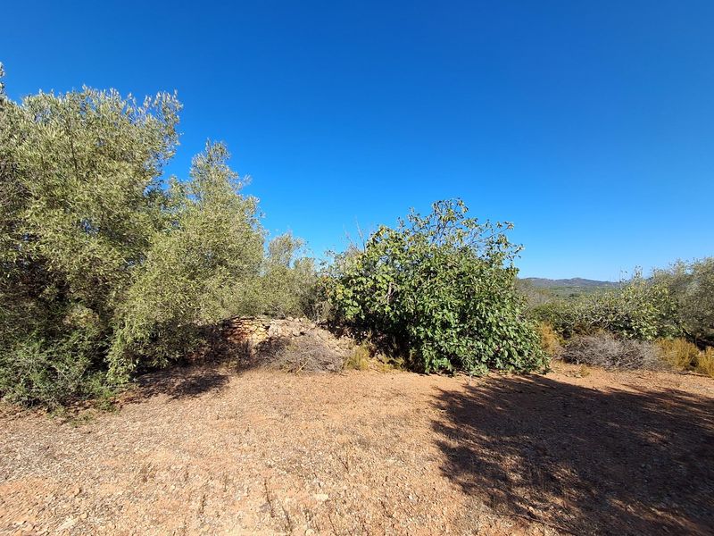 Foto 076d29b3-3991-4aa4-a52b-872543244220. Finca rústica a del polígon 66 a Perelló (El)