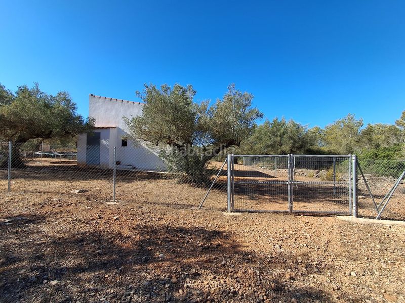 Foto a6749645-ee95-4649-a445-86a8fd54dbe6. Finca rústica a del polígon 66 a Perelló (El)