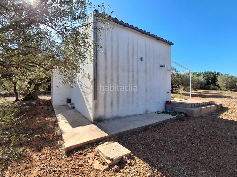 Foto f3cc35df-e45d-4dac-88ee-112e71d850db. Finca rústica a del polígon 66 a Perelló (El)