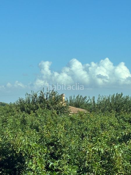 Foto cedc5300-2b27-4050-8b43-2565f3b7f3bb. Masia amb aparcament piscina a Sueca Sueca