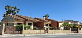 House  Pintor sorolla 13. Gran casa en el corazon del delta de lebre