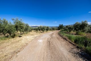 Landgut  Polígono 3 parcela 220 arnique. Mágnifica finca de regadio en la vega de otura, con acceso tambi
