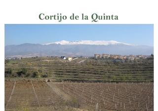 Propriété à Urbanizaciones. Terreno estratégicamente ubicado en granada