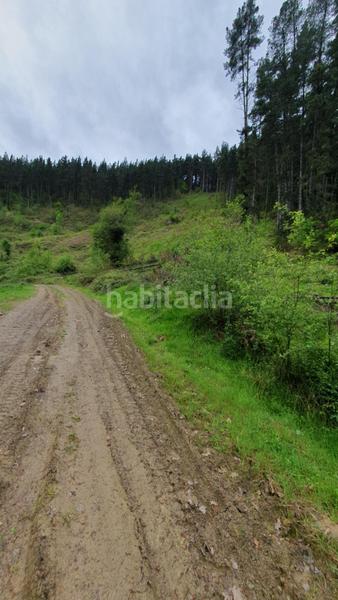 Foto 5eed7f8e-bb42-4194-981c-fc64701ffa54. Finca rústica a Llodio